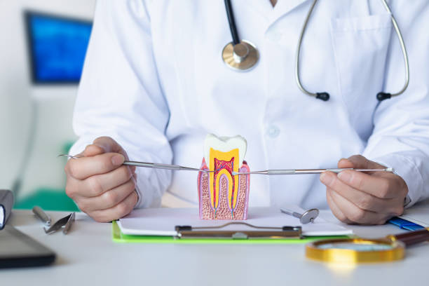 Best Dental Abscess Treatment in Kettering, MD